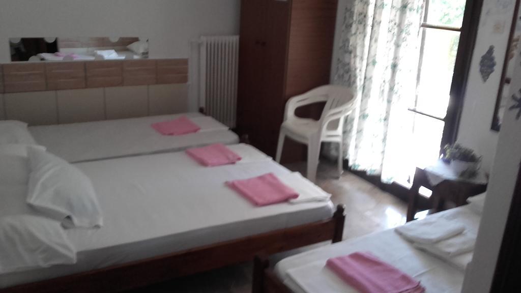 Theoxenia Appartement Pteleós Buitenkant foto